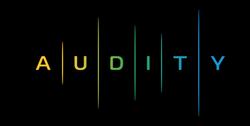Audity Announced Partnership with Spotify