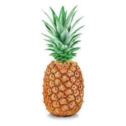 Pineapple Street Media is Offering a Pineapple Fellowship