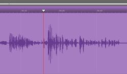 Nobody Should Care How Often You Say 'Like'